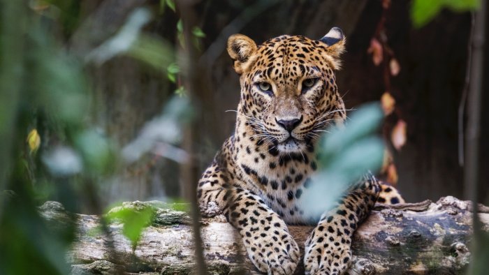 Representative image. Credit: iStock Photo